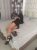 Maltepe Genç Escort Bayan Irmak - Image 1 Maltepe Genç Escort Bayan Irmak - Image 1