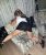 Sınırsız Maltepe Escort Sultan - Image 3 Sınırsız Maltepe Escort Sultan - Image 3
