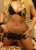 Pendik Kurtköy Escort Bayan Aslı - Image 2 Pendik Kurtköy Escort Bayan Aslı - Image 2