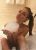Anadolu Yakası Escort Bayan Karina - Image 1 Anadolu Yakası Escort Bayan Karina - Image 1