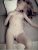 Pendik Kurtköy Escort Bayan Merve - Image 7 Pendik Kurtköy Escort Bayan Merve - Image 7