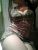 Pendik Merkez Escort Bayan Melek - Image 3 Pendik Merkez Escort Bayan Melek - Image 3