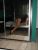Maltepe Sınırsız Anal Escort Bayan Sinem - Image 3 Maltepe Sınırsız Anal Escort Bayan Sinem - Image 3