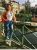 Anadolu Yakası Genç Escort Bayan Gülşah - Image 5 Anadolu Yakası Genç Escort Bayan Gülşah - Image 5