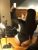 Maltepe Escort Bayan Betül - Image 2 Maltepe Escort Bayan Betül - Image 2