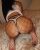 Pendik 25 Yaş Escort Bayan Fisun - Image 2 Pendik 25 Yaş Escort Bayan Fisun - Image 2