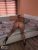 Pendik Kurtköy Escort Bayan Kumsal - Image 2 Pendik Kurtköy Escort Bayan Kumsal - Image 2