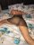 Pendik Kurtköy Bayan Escort Hayal - Image 5 Pendik Kurtköy Bayan Escort Hayal - Image 5