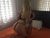 Kurtköy Pendik Escort Bayan Pelin - Image 4 Kurtköy Pendik Escort Bayan Pelin - Image 4