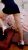 Pendik Merkez Sınırsız Grup Escort Bayanlar Siveta ve Sibel - Image 3 Pendik Merkez Sınırsız Grup Escort Bayanlar Siveta ve Sibel - Image 3