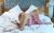Pendik Tuzla Uzun Boylu Escort Bayan Aleyna - Image 3 Pendik Tuzla Uzun Boylu Escort Bayan Aleyna - Image 3
