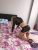 Pendik Merkez Escort Bayan Simge - Image 2 Pendik Merkez Escort Bayan Simge - Image 2