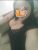 Kartal Büyük Göğüslü Escort Bayan Serap - Image 3 Kartal Büyük Göğüslü Escort Bayan Serap - Image 3