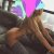 Pendik Escort Bayan Katerina - Image 7 Pendik Escort Bayan Katerina - Image 7