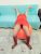 Kurtköy Escort Bayan Elmira - Image 2 Kurtköy Escort Bayan Elmira - Image 2