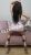 Pendik Escort Bayan Gamze - Image 7 Pendik Escort Bayan Gamze - Image 7