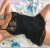 Pendik Merkez Escort Bayan Peri - Image 6 Pendik Merkez Escort Bayan Peri - Image 6