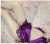 Anadolu Yakası Escort Bayan Nina - Image 2 Anadolu Yakası Escort Bayan Nina - Image 2