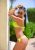Pendik Escort Bayan Elif - Image 1 Pendik Escort Bayan Elif - Image 1