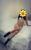 Kartal Merkez 23 Yaşında Escort Bayan Selen - Image 5 Kartal Merkez 23 Yaşında Escort Bayan Selen - Image 5