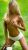 Pendik Minyon Escort Bayan Burcu - Image 3 Pendik Minyon Escort Bayan Burcu - Image 3