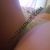 Pendik Escort Bayan Rüya - Image 9 Pendik Escort Bayan Rüya - Image 9