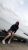 Gebze Merkez Öğrenci Escort Bayan Yeşim - Image 10 Gebze Merkez Öğrenci Escort Bayan Yeşim - Image 10