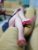 Samandıra Merkez Escort Bayan Yasemin - Image 5 Samandıra Merkez Escort Bayan Yasemin - Image 5