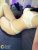 Kartal Maltepe Escort Bayan Çilek - Image 4 Kartal Maltepe Escort Bayan Çilek - Image 4