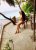 Gebze Merkez Escort Bayan Büşra - Image 3 Gebze Merkez Escort Bayan Büşra - Image 3