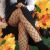 Kartal Cevizli Escort Bayan Burcu - Image 2 Kartal Cevizli Escort Bayan Burcu - Image 2