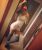Pendik Tuzla Kartal Escort Bayanlar Leyla ve Damla - Image 1 Pendik Tuzla Kartal Escort Bayanlar Leyla ve Damla - Image 1