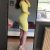 Pendik Escort Bayan Eda - Image 1 Pendik Escort Bayan Eda - Image 1
