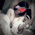 Kurtköy Pendik Escort Bayan Tuana ve Banu - Image 9 Kurtköy Pendik Escort Bayan Tuana ve Banu - Image 9