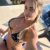 Anadolu Yakası Escort Bayan Hazal - Image 2 Anadolu Yakası Escort Bayan Hazal - Image 2
