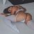 Pendik Gebze Kurtköy Escort Bayan Bihter - Image 4 Pendik Gebze Kurtköy Escort Bayan Bihter - Image 4